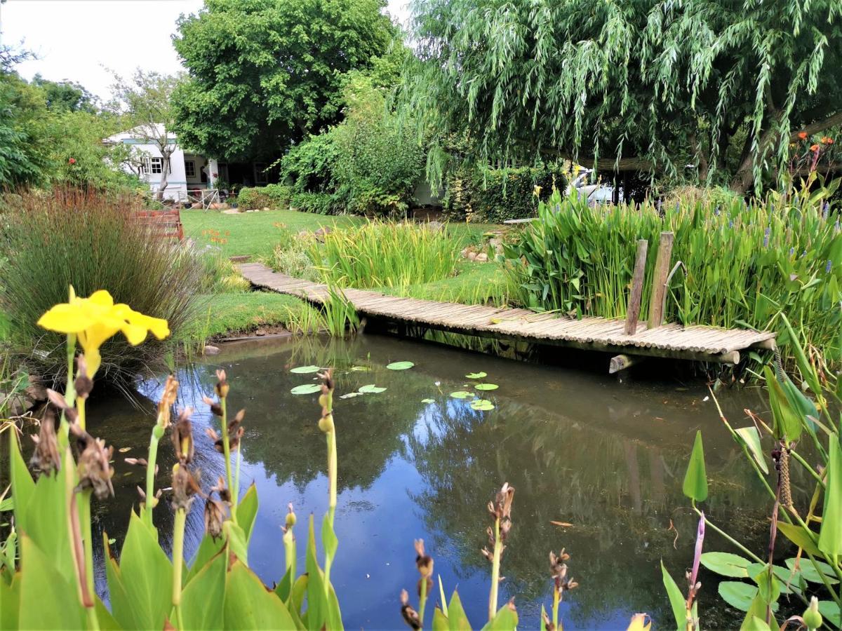 Studio Frangipani Solar Powered Hotel Greyton Luaran gambar