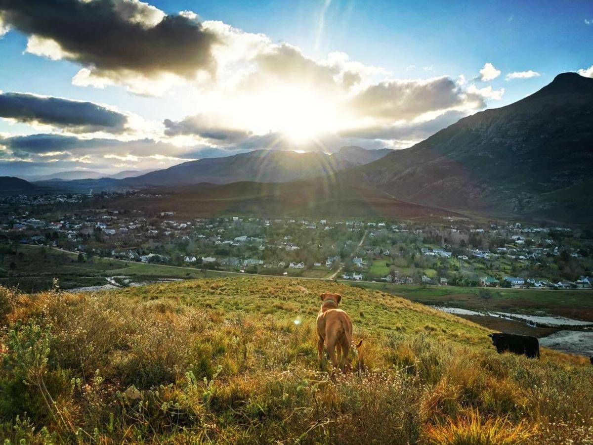 Studio Frangipani Solar Powered Hotel Greyton Luaran gambar